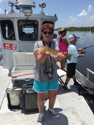 Overnight Bayou Adventure in Lafitte