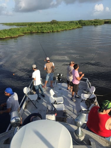 Overnight Bayou Adventure in Lafitte