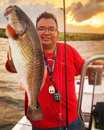 Overnight Bayou Adventure in Lafitte