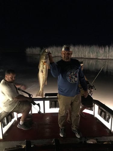 Bad Ass Bow Fishing in Lafitte