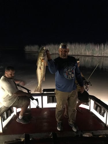 Bad Ass Bow Fishing In Lafitte