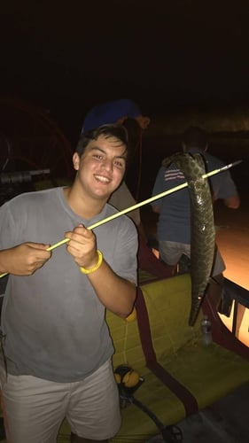 Bad Ass Bow Fishing In Lafitte