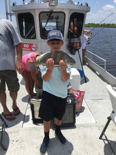 Overnight Bayou Adventure in Lafitte