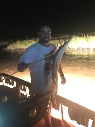 Bad Ass Bow Fishing In Lafitte