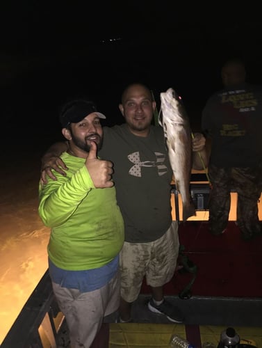 Bad Ass Bow Fishing in Lafitte