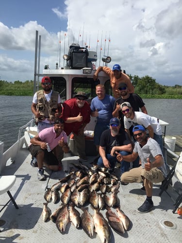 Morning Big Group Excursions In Lafitte