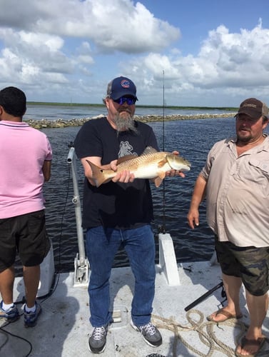 Morning Big Group Excursions In Lafitte