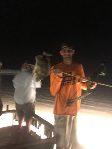 Bad Ass Bow Fishing in Lafitte