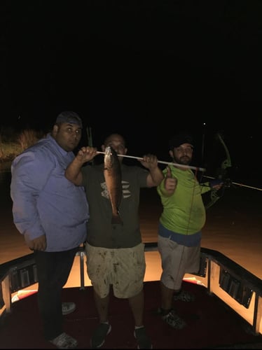 Bad Ass Bow Fishing in Lafitte