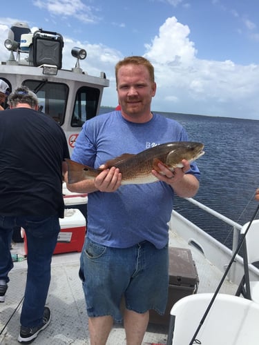Overnight Bayou Adventure in Lafitte