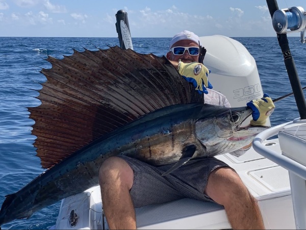 Islamorada Sailfish Special In Islamorada