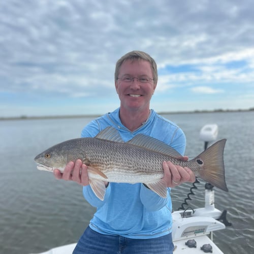 Fly Fishing The "Big Bend" In Cedar Key