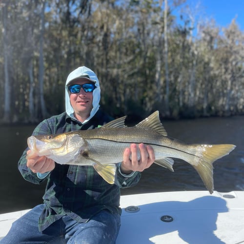 Fly Fishing The "Big Bend" In Cedar Key