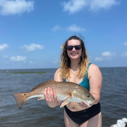 Fly Fishing The "Big Bend" In Cedar Key