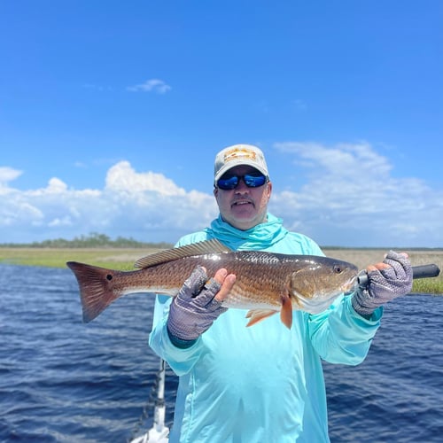 Fly Fishing The "Big Bend" In Cedar Key