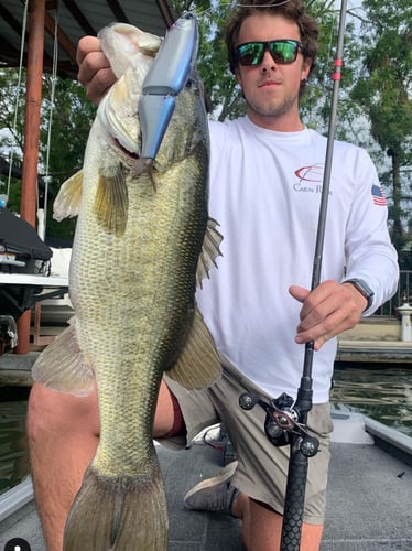 Big Swim Baits For Big A** Bass In Austin