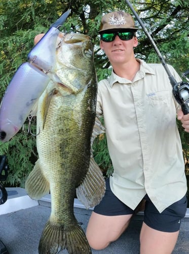 Big Swim Baits For Big A** Bass In Austin