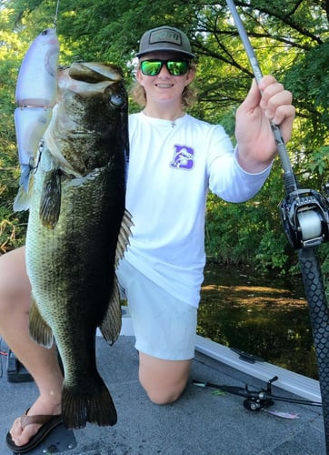 Big Swim Baits For Big A** Bass In Austin