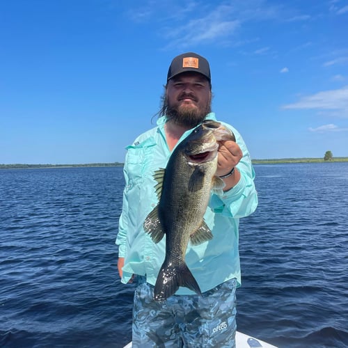 Cedar Key Bass Fishing In Cedar Key