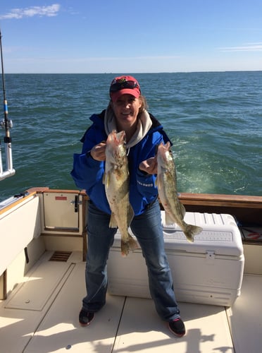 Full Day Walleye/Perch Combo In Lakeside Marblehead