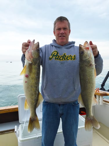 Full Day Walleye/Perch Combo In Lakeside Marblehead