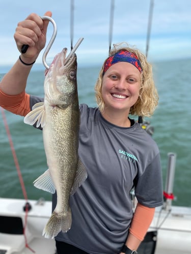 Full Day Walleye/Perch Combo In Lakeside Marblehead