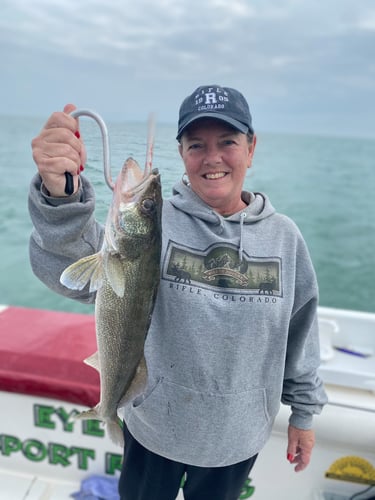 Full Day Walleye/Perch Combo In Lakeside Marblehead