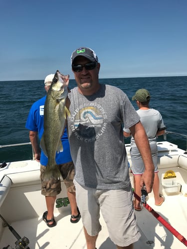 Full Day Walleye/Perch Combo In Lakeside Marblehead