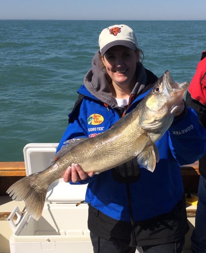 Full Day Walleye/Perch Combo In Lakeside Marblehead