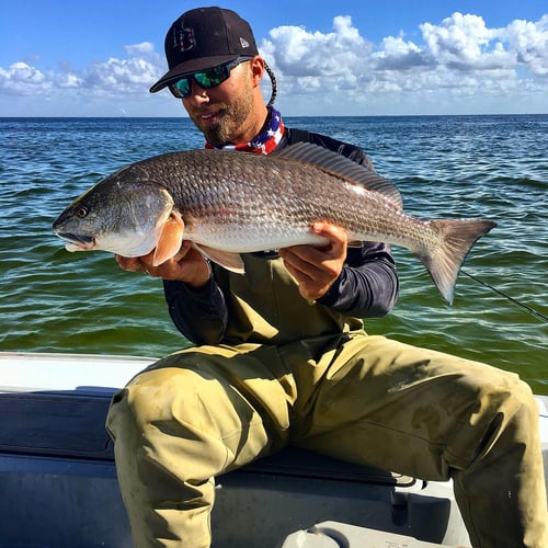 Tampa Bay Inshore Action In Tampa