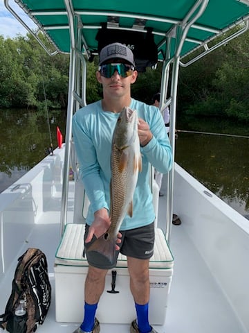 Tampa Bay Inshore Action In Tampa