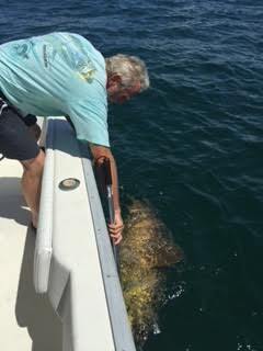 Pompano Beach Deep Sea Trip In Pompano Beach