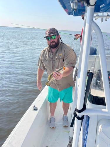 Rippin' Redfish In South Lousiana In Golden Meadow