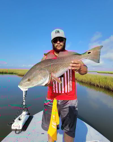 Reds In The Marsh - 25' Haynie In Golden Meadow
