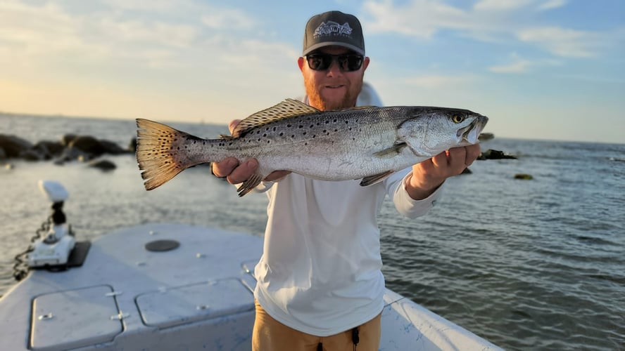 Reds In The Marsh - 25' Haynie In Golden Meadow