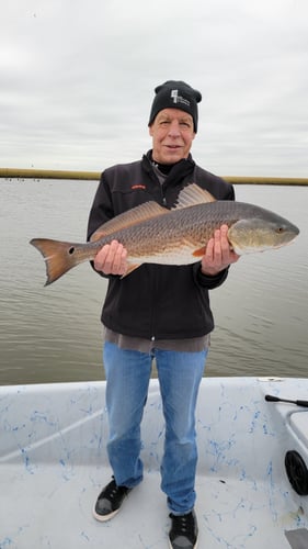 Reds In The Marsh - 25' Haynie In Golden Meadow