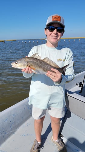 Reds In The Marsh - 25' Haynie In Golden Meadow