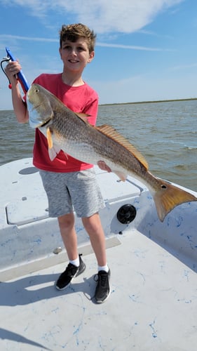 Reds In The Marsh - 25' Haynie In Golden Meadow