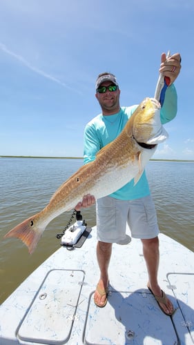 Reds In The Marsh - 25' Haynie In Golden Meadow