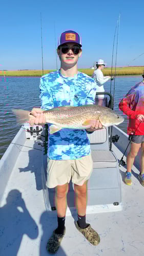 Reds In The Marsh - 25' Haynie In Golden Meadow