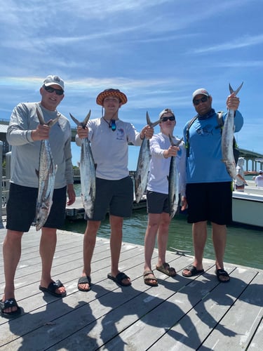 Clearwater Inshore Fishing In Dunedin