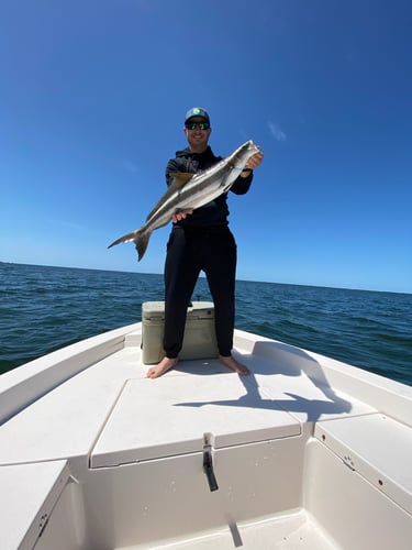 Clearwater Inshore Fishing In Dunedin