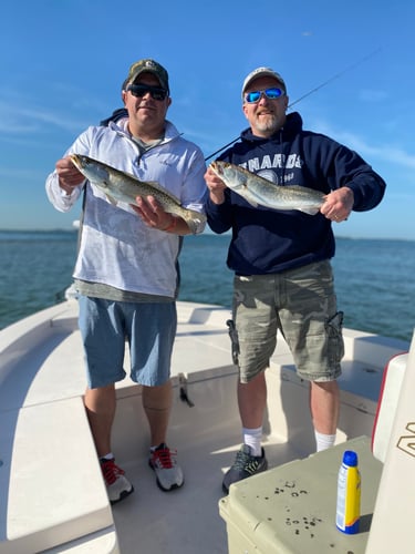 Clearwater Inshore Fishing In Dunedin