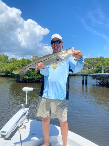 Clearwater Inshore Fishing In Dunedin