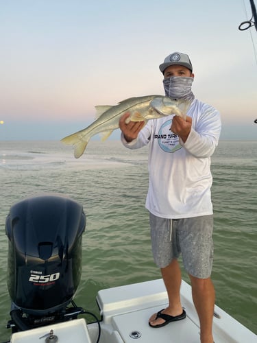 Clearwater Inshore Fishing In Clearwater