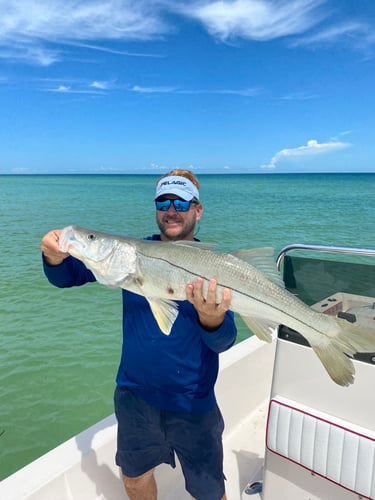 Clearwater Inshore Fishing In Dunedin