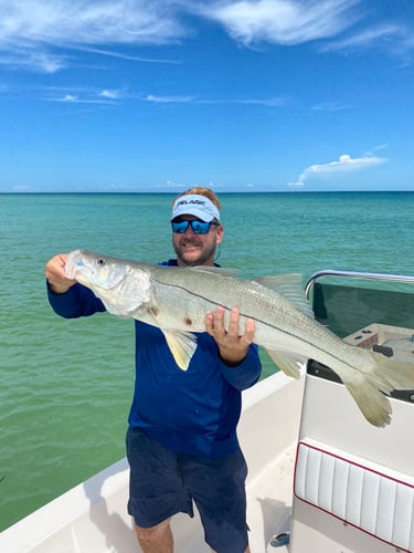 Clearwater Inshore Fishing In Clearwater