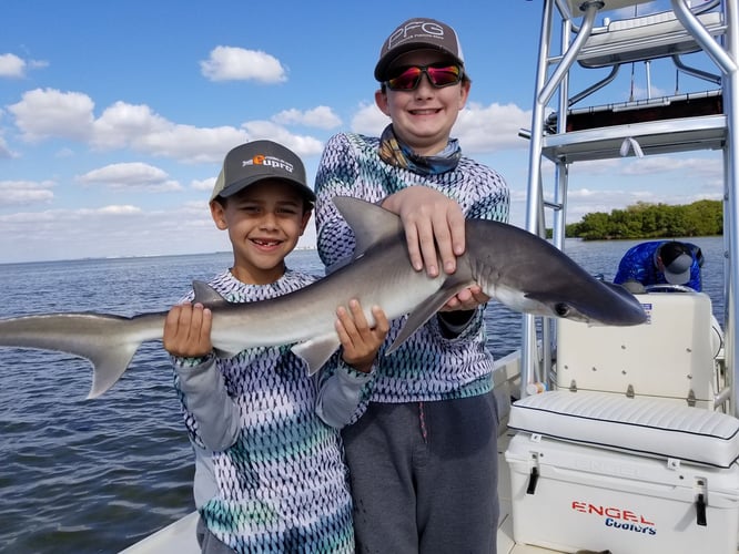 Tampa Bay Shark Hunt In Ruskin
