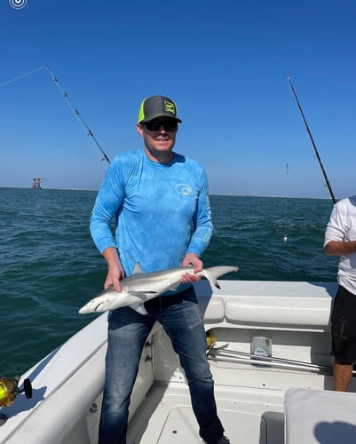 Port A Offshore Slam in Port Aransas