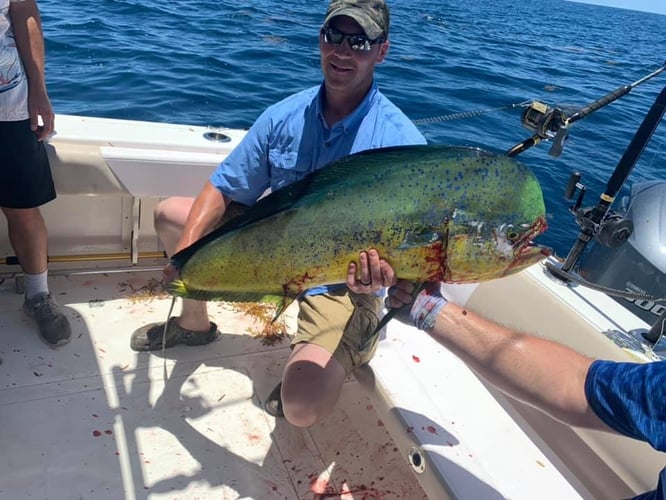 Port A Offshore Slam in Port Aransas